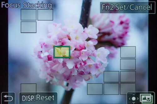 HN0A6392.jpg