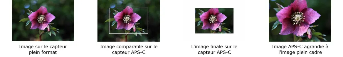 Foto_1_canon_ef_rf_lenzen_pagina_FR.jpg