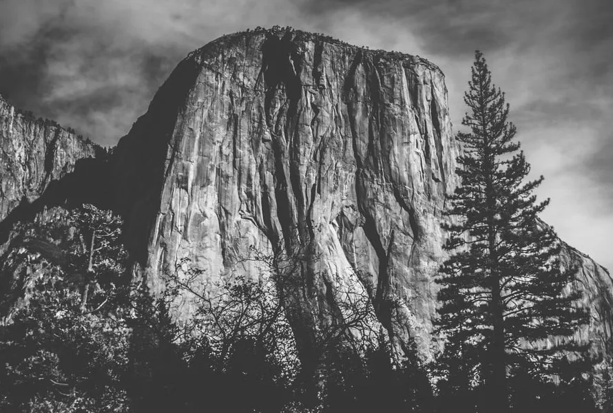 blacknwhite-2.jpg
