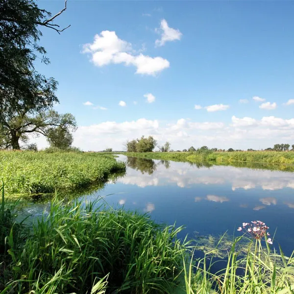 brandenburg-24-naturpark-westhavelland.jpg