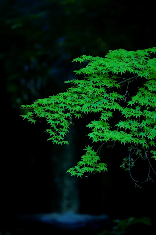 sigma-100-400_1_800.png