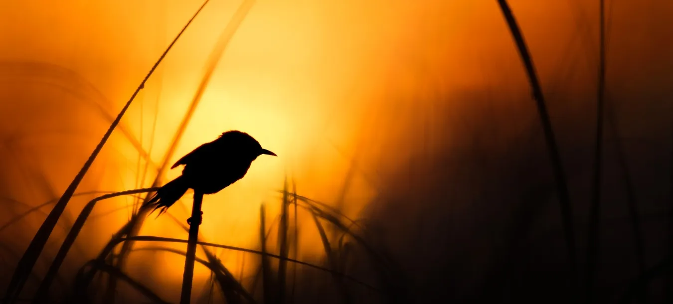 ke_foto_banner_zonsondergang.jpg