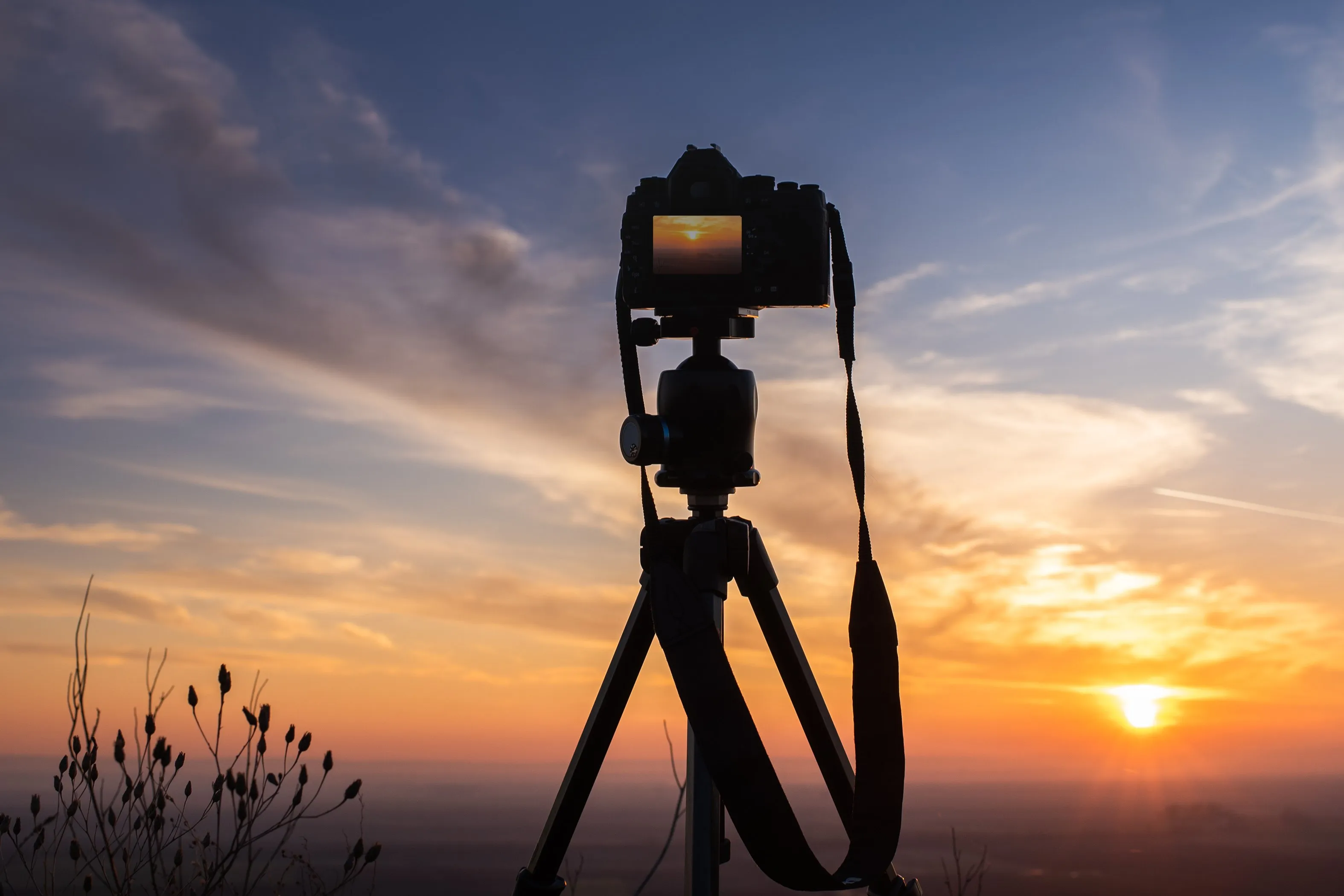 AdobeStock_487191631.jpeg