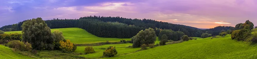Photo stitching.jpg