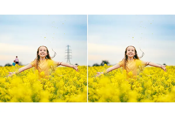 Adobe_Elements_Photoshop_Elements.jpg