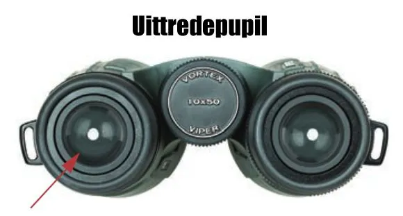 Uittredepupil.jpg