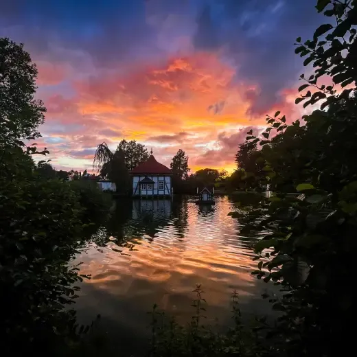 fotocompetitie-landschap-publieksprijs-vanessa-wecke.webp