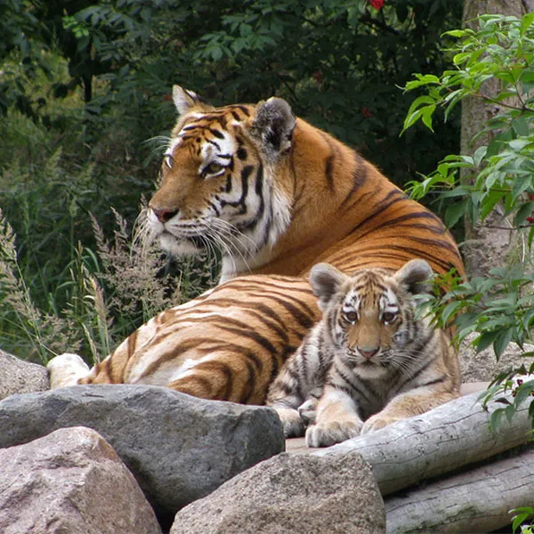 brandenburg-17-zoologischer-garten-eberswalde.jpg