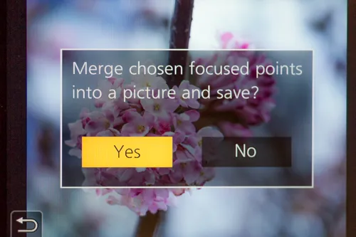 HN0A6403.jpg