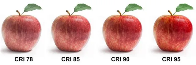CRi-apple-test.jpg