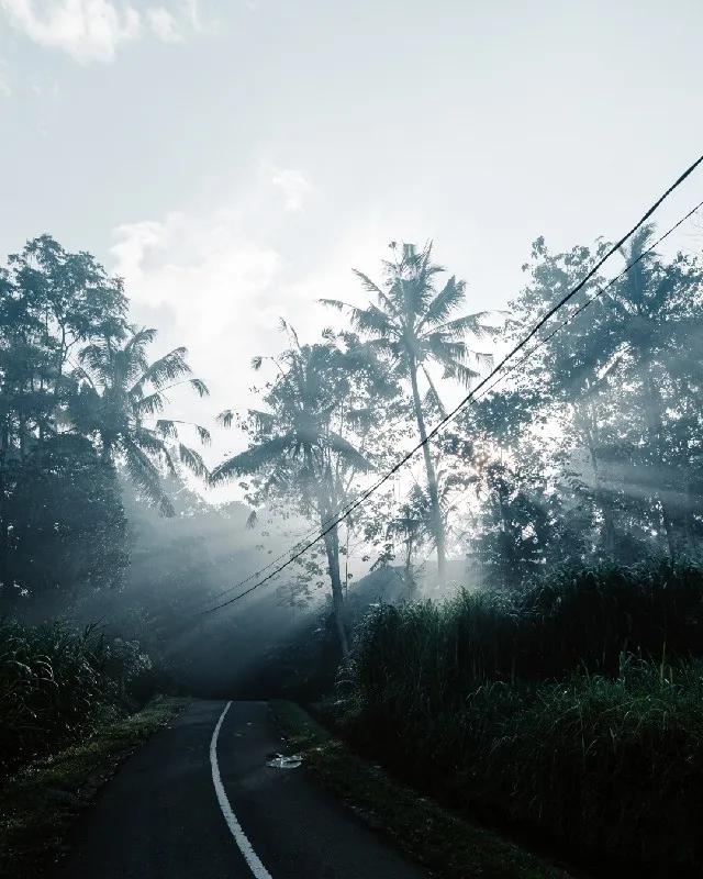 JPP04963-lichtstralen.jpg