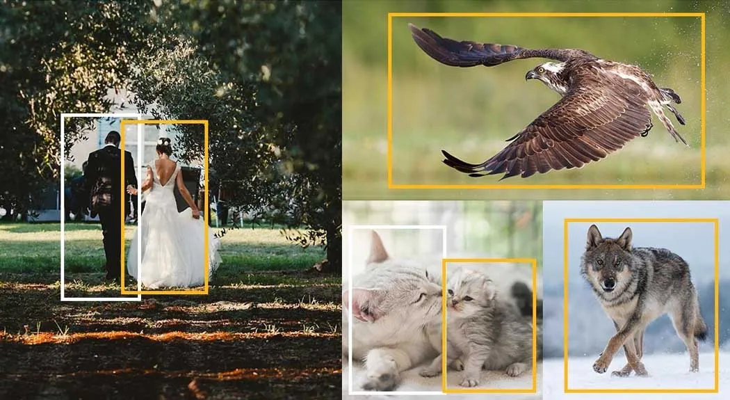 Panasonic Menselijk Lichaam en Dieren herkenning technologie.jpg