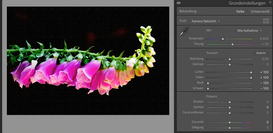 fotobewerking-voor-beginners-4.png