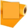 colorama-studio-background-sunflower.jpg