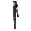 Sirui_p326_monopod_1.jpg