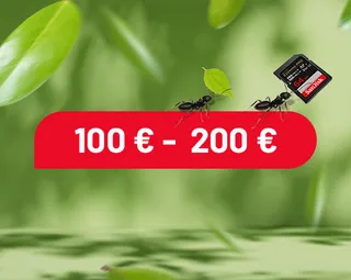 ke_SpringDelas_cadeautip_tegel_100t_m200_DE_FR (1).png