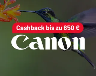 ke_SpringDelas_tegel_Canon_cashback_DE.png