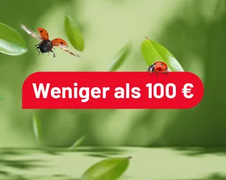 ke_SpringDelas_cadeautip_tegel_minder100_DE.png