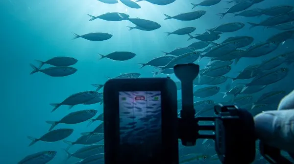 GoProHero12_InesGoovaerts_5.jpg