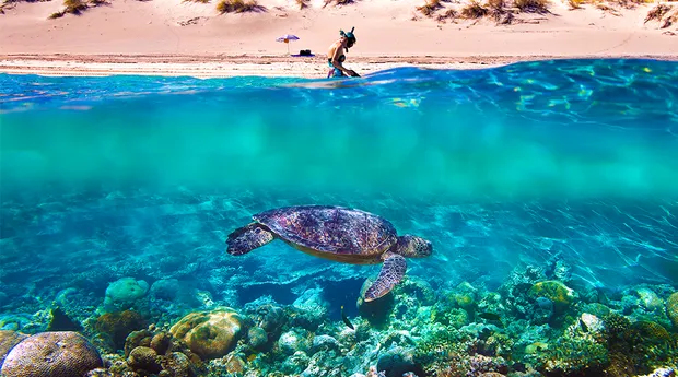 Onderwater-locaties-wereldwijd-ningaloo-reef-australië.png