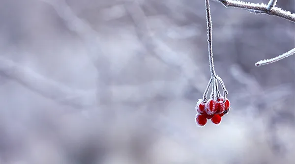 winter-kleur.jpg