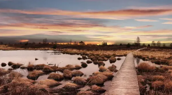 BE Winterlocaties - Hoge Venen - BIJGESNEDEN.webp