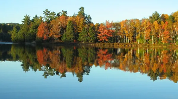 Herfst tip 5.jpg