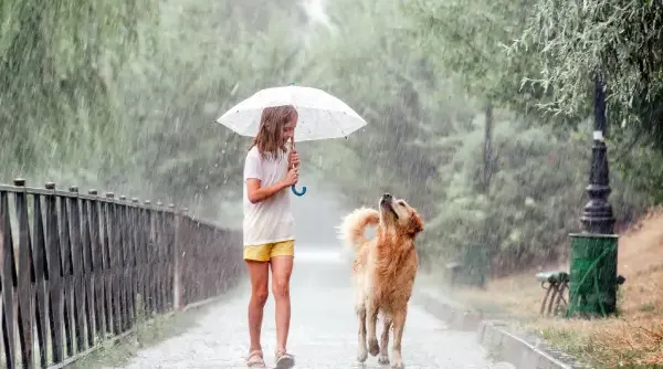 fotograferen-in-regen-4.webp