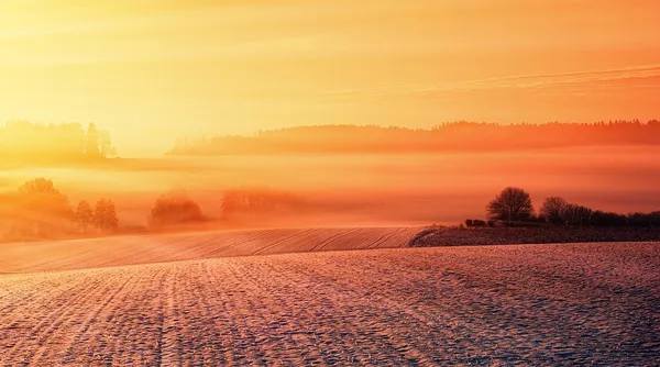 Landschap tip 4.jpg