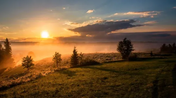 Natuurfotografie-Tip-9.webp