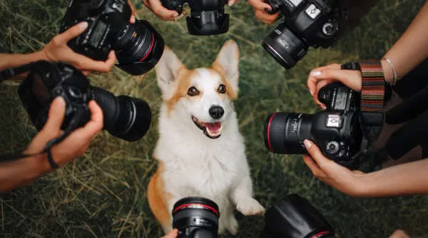 Fotografie als beroep tip 1.webp
