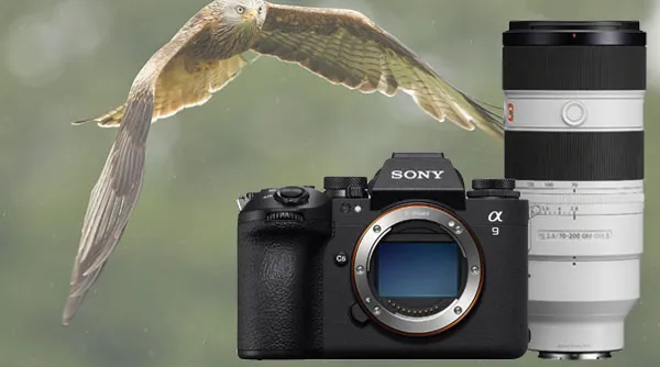 professionele-fotograaf-actiefotografie-sony-a9iii.jpg