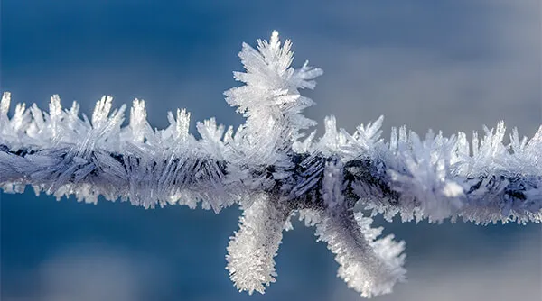 winter-macro.jpg