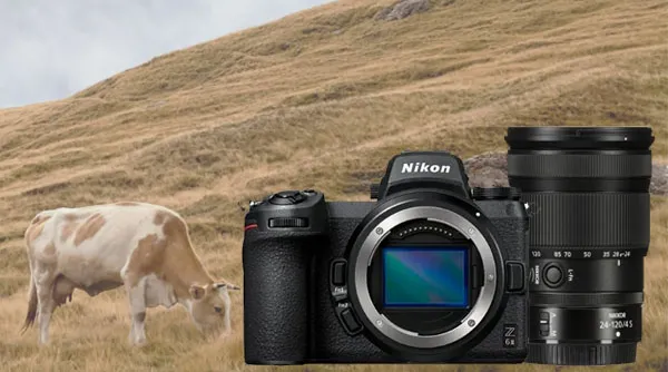 gevorderde-fotograaf-natuurfotografie-nikon-z6ii.jpg