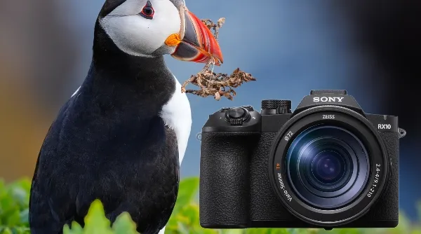 Sony_rx10v_inspo_pics_5.webp