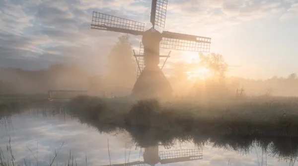 mist-dauw-blog-Henk-Jan-tip-4.webp
