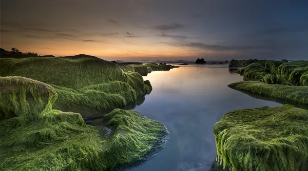 Landschap tip 5.jpg