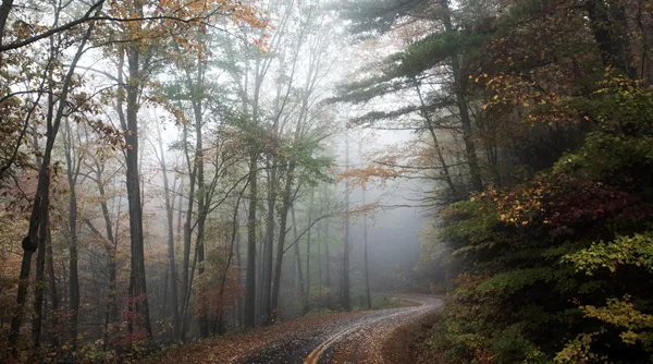 Herfst tip 7.jpg