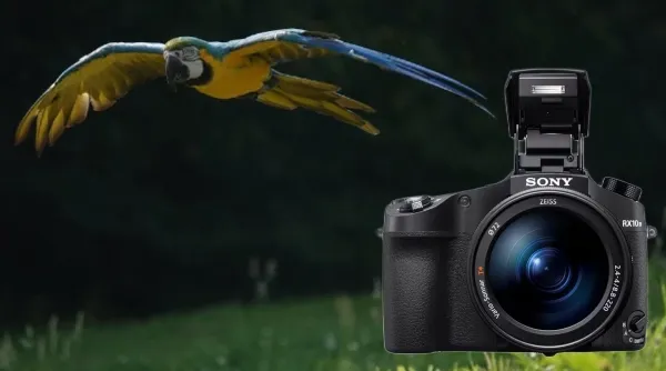 Sony RX19_IV_1.webp