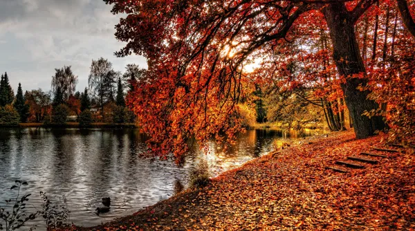 Herfst tip 10.jpg