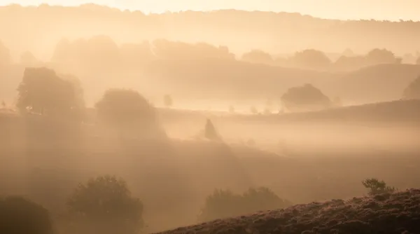 mist-dauw-blog-Henk-Jan-tip-6.webp