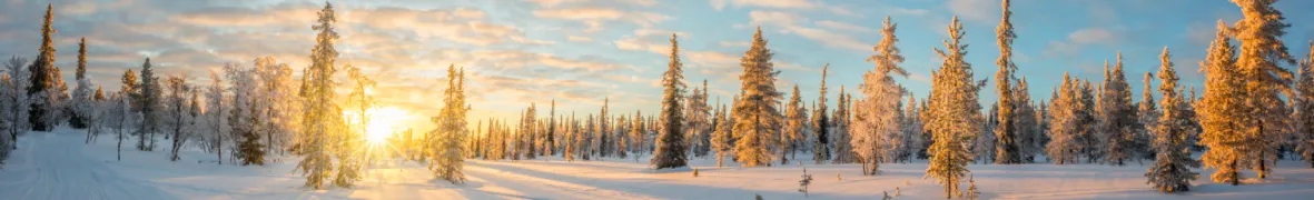 Winter_banner.webp
