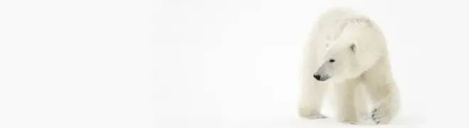 blog-extreme-kou-alex-banner.webp