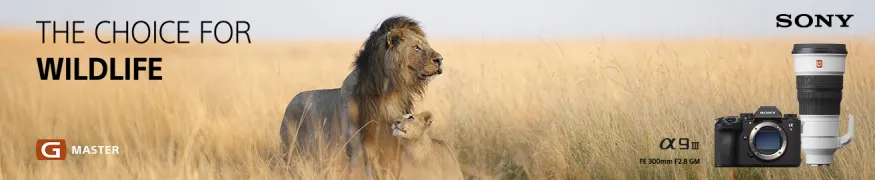 CoC_Wildlife_1312x270.webp
