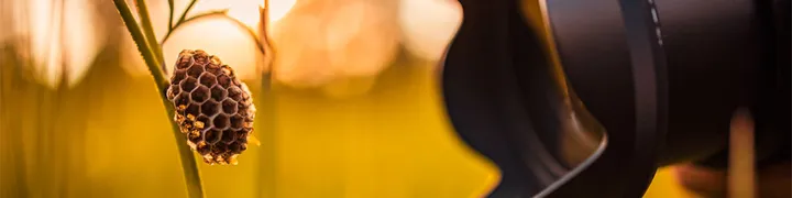 wat-is-een-macrolens-banner.jpg
