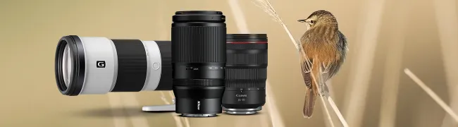 Zoomlens_merkenpagina.webp