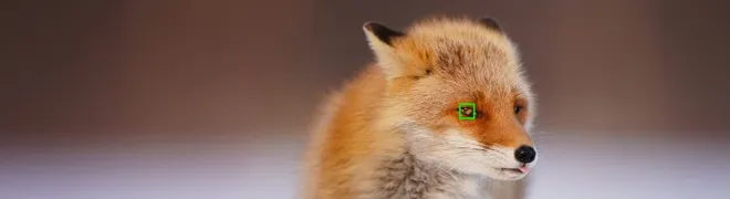 sony-animal_eye_autofocus_banner.jpg