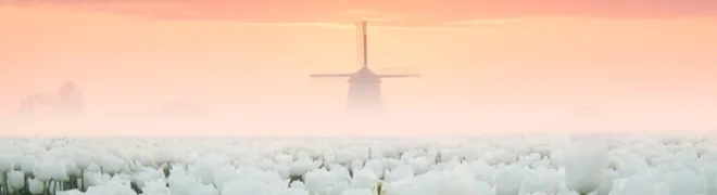 mist-dauw-blog-Henk-Jan-banner.webp