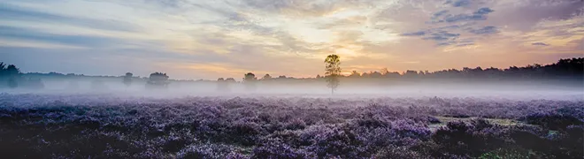 Fotograferen-heide-banner.jpg