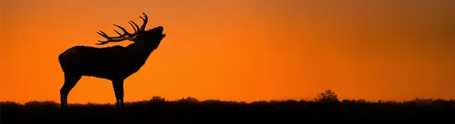 ke_landingspagina_banner_hert.webp
